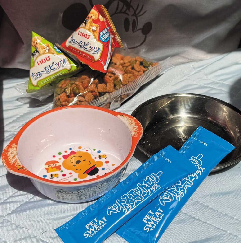 災害時でも安心 ペットのために備える最強ガイド