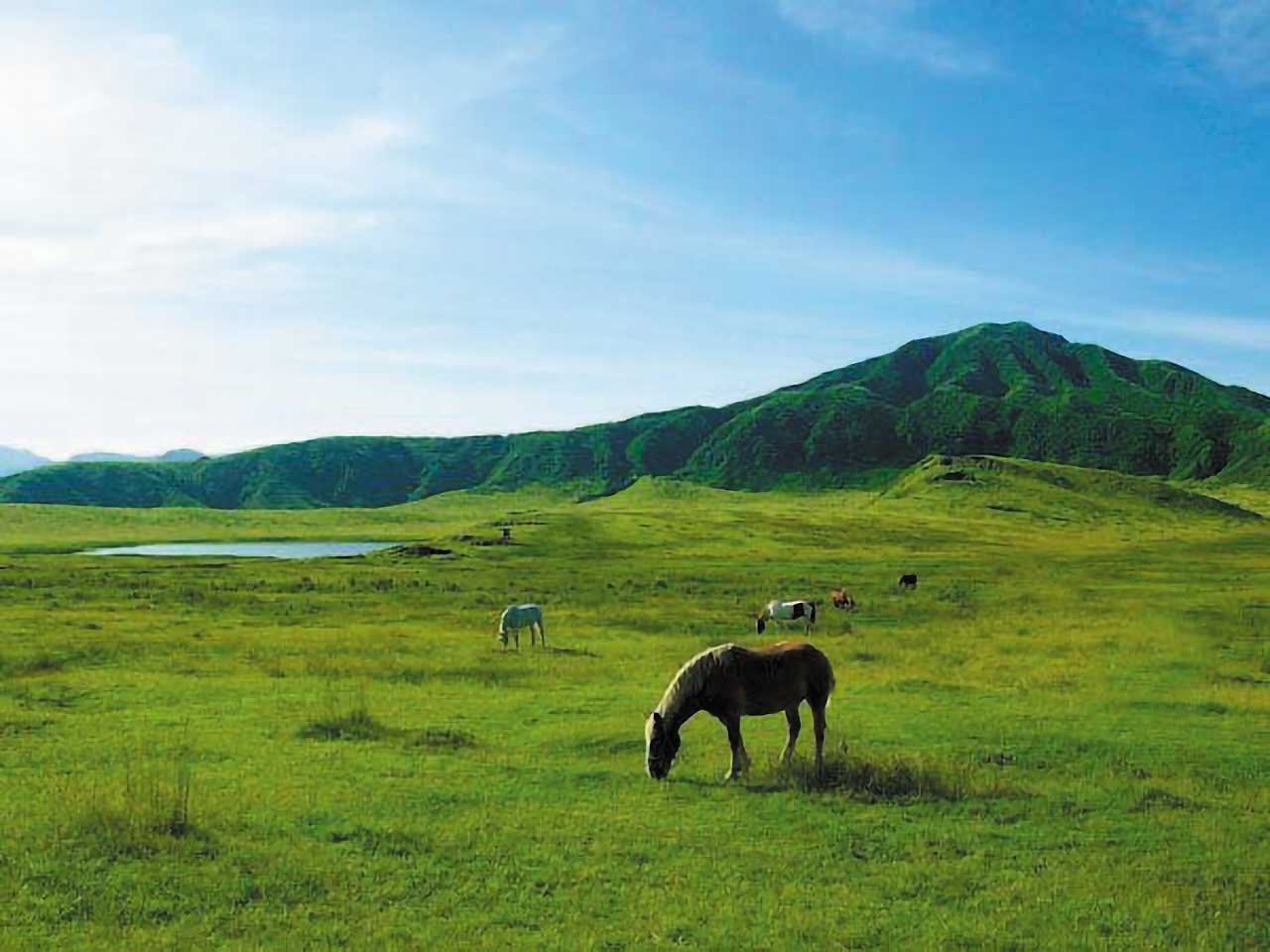 草千里ヶ浜（熊本県）