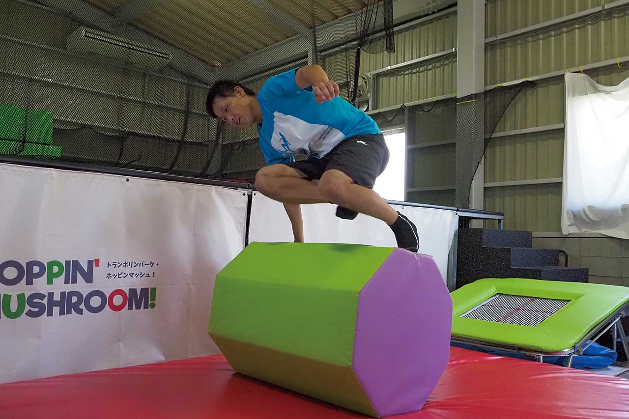 ステップヴォルト