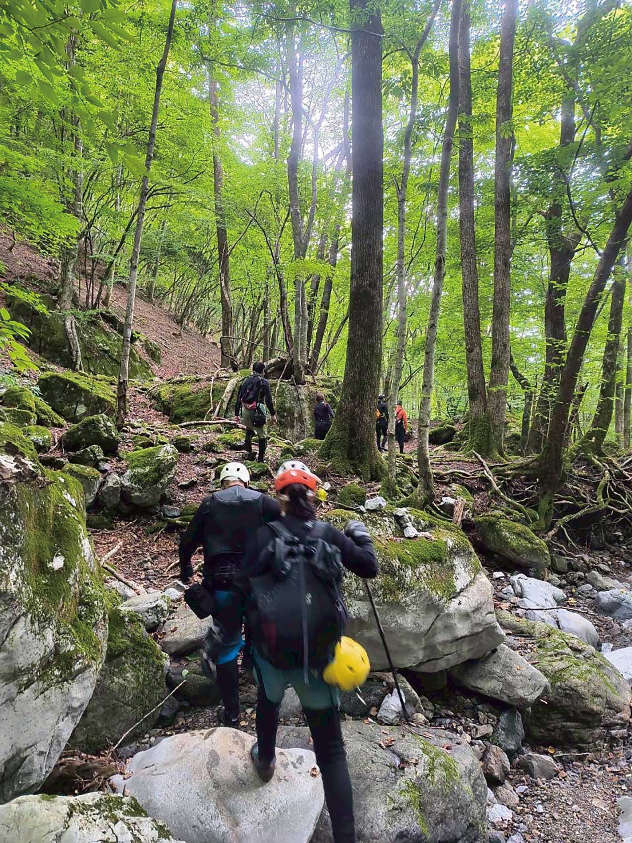 道なき道ではなく、本当に道がない これはただの山岳登山だ。