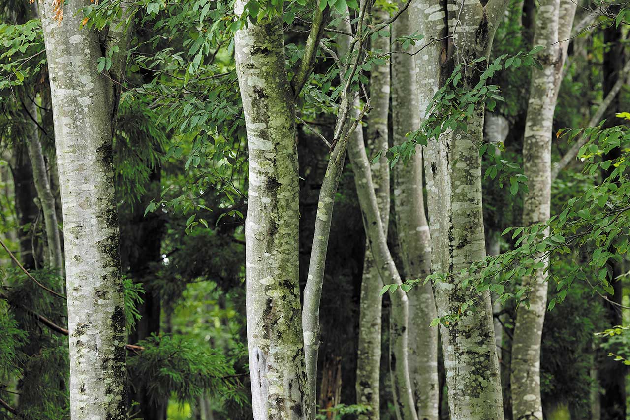 【男の車中泊一人旅 OverNight Trip for Jimny】清涼な初秋の風に吹かれて雲海を眼下に望んでみる[ VOL.40 長野・栄村 ]