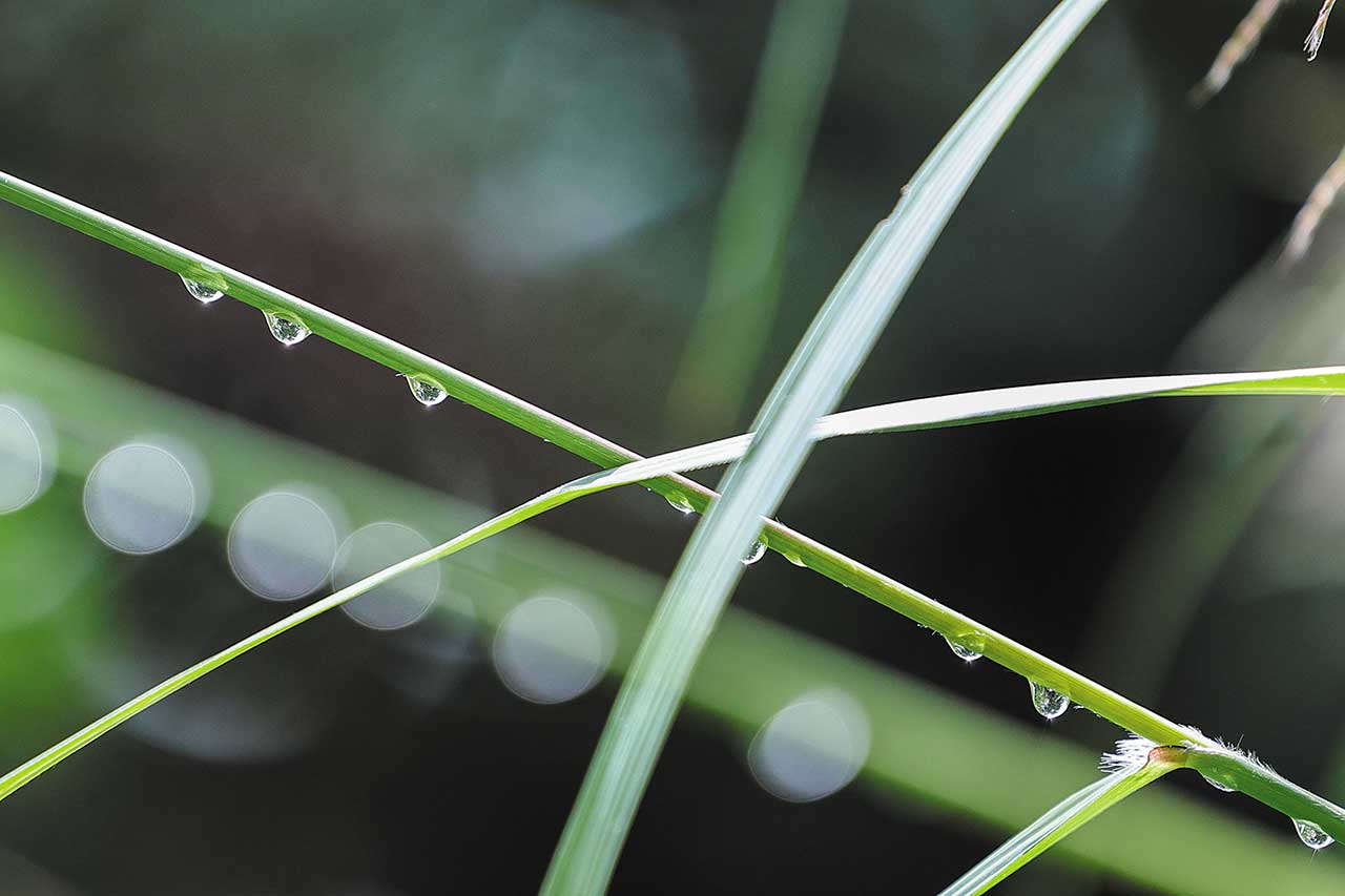 【男の車中泊一人旅 OverNight Trip for Jimny】清涼な初秋の風に吹かれて雲海を眼下に望んでみる[ VOL.40 長野・栄村 ]