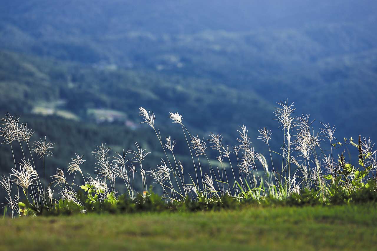 【男の車中泊一人旅 OverNight Trip for Jimny】清涼な初秋の風に吹かれて雲海を眼下に望んでみる[ VOL.40 長野・栄村 ]