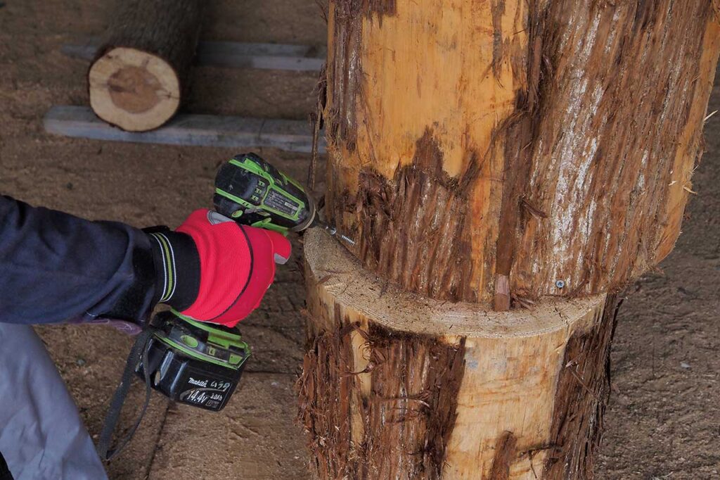 作業台に材料を長めのビスで固定する。この時、絶対削らない場所にビスを打たないとチェーンソーの歯が破損してしまう。