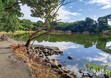 木々と空が水面に映る池の風景